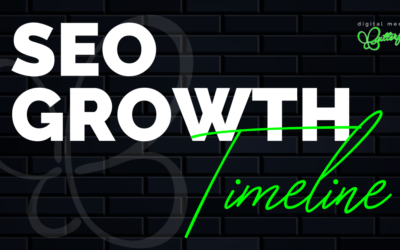 SEO Growth Timeline